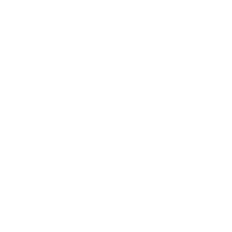 Lacrosse Design 19