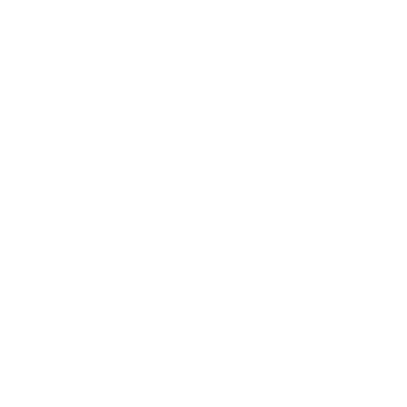 Ski Design 11