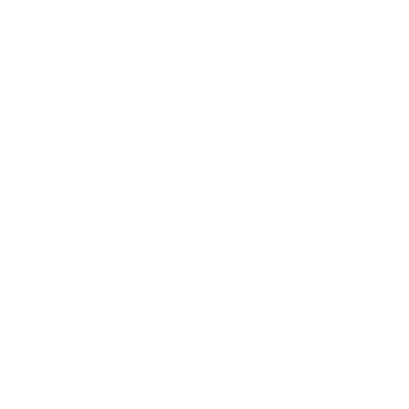 Ski Design 19