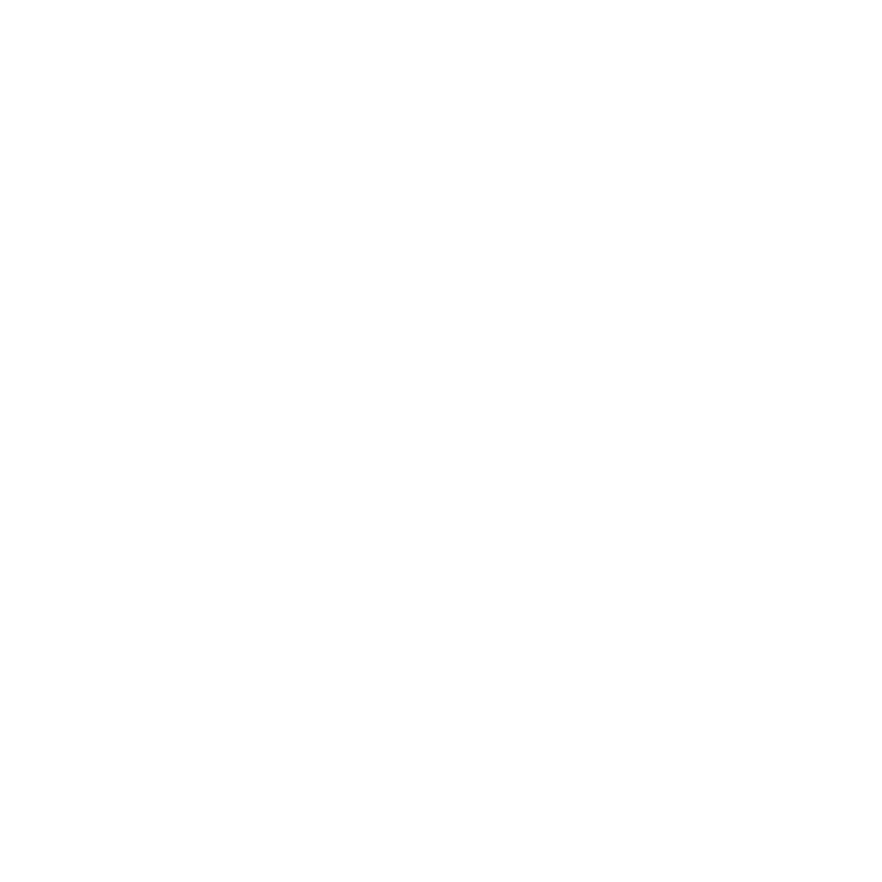 Ski Design 21