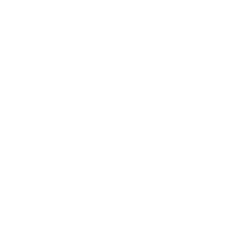 Ski Design 25