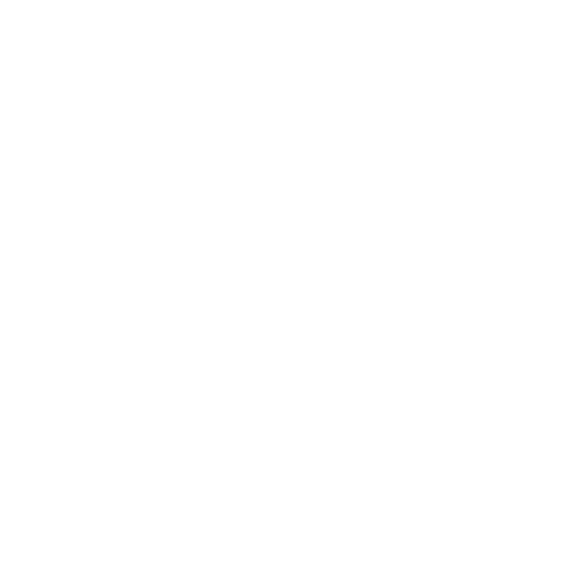 Ski Design 25