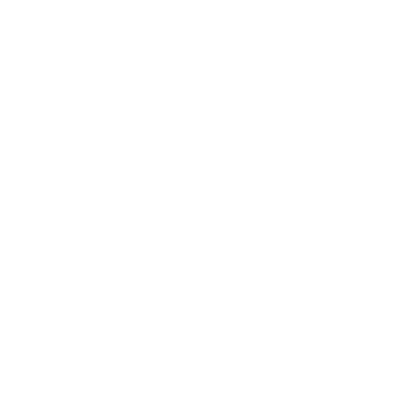 Ski Design 29