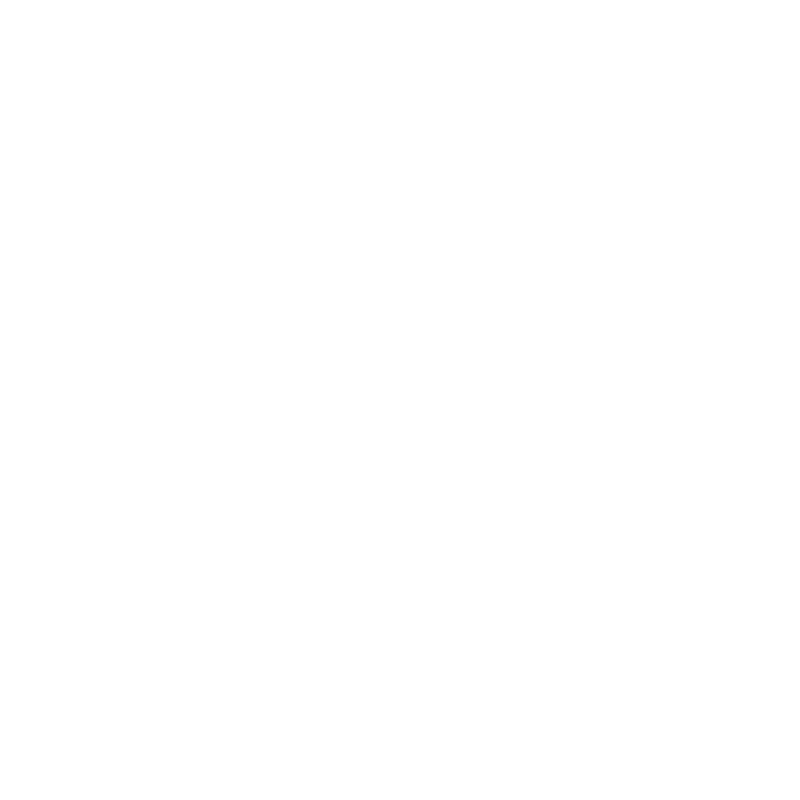 Ski Design 31