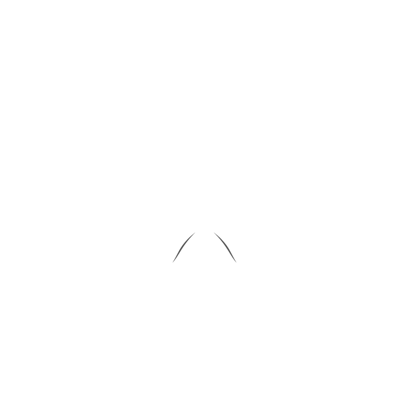 Ski Design 38