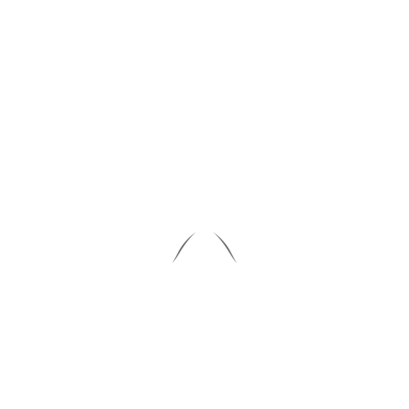 Ski Design 38