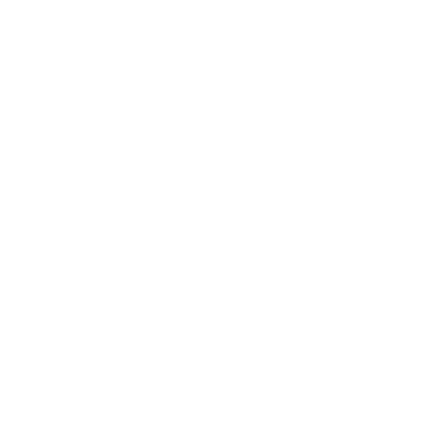 Themepark Design 2