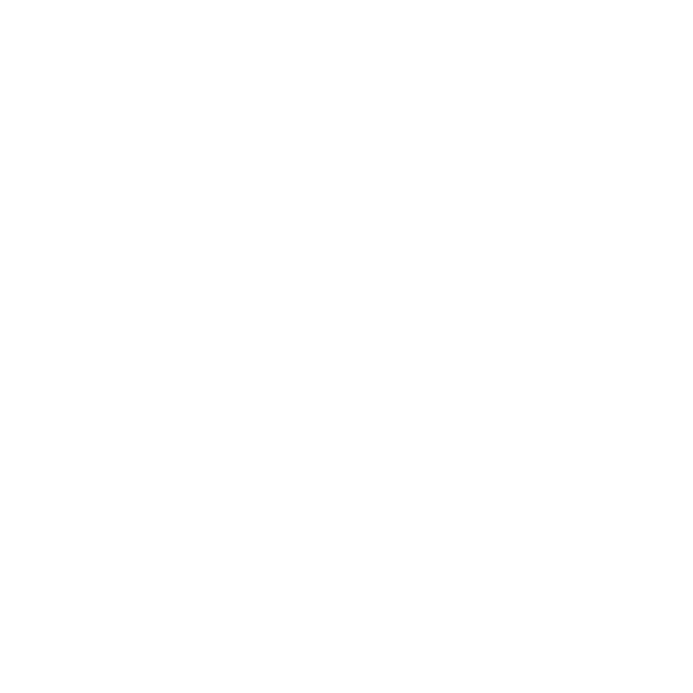 Themepark Design 4